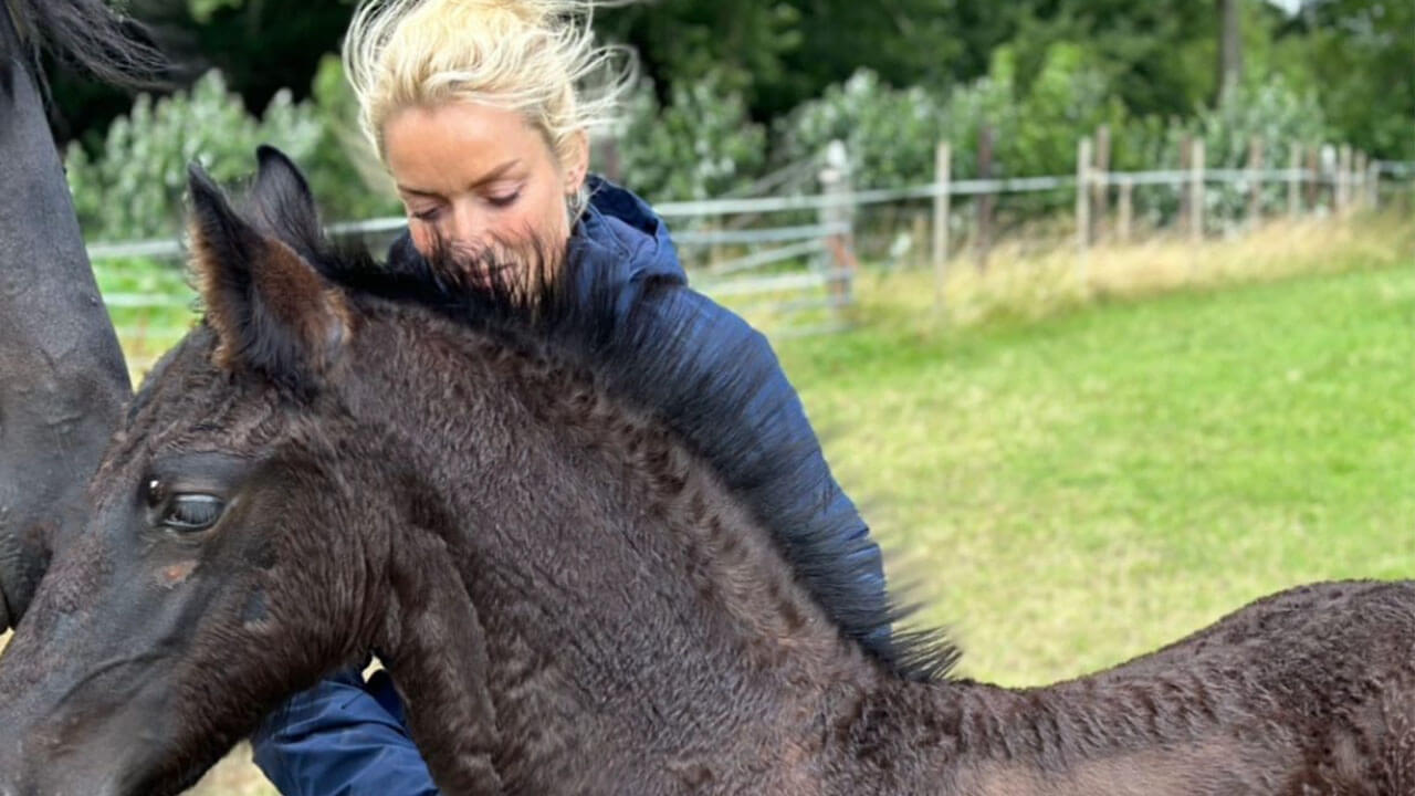 Samantha Steenwijk neemt afscheid van paard: ‘We hadden zo veel plannen’