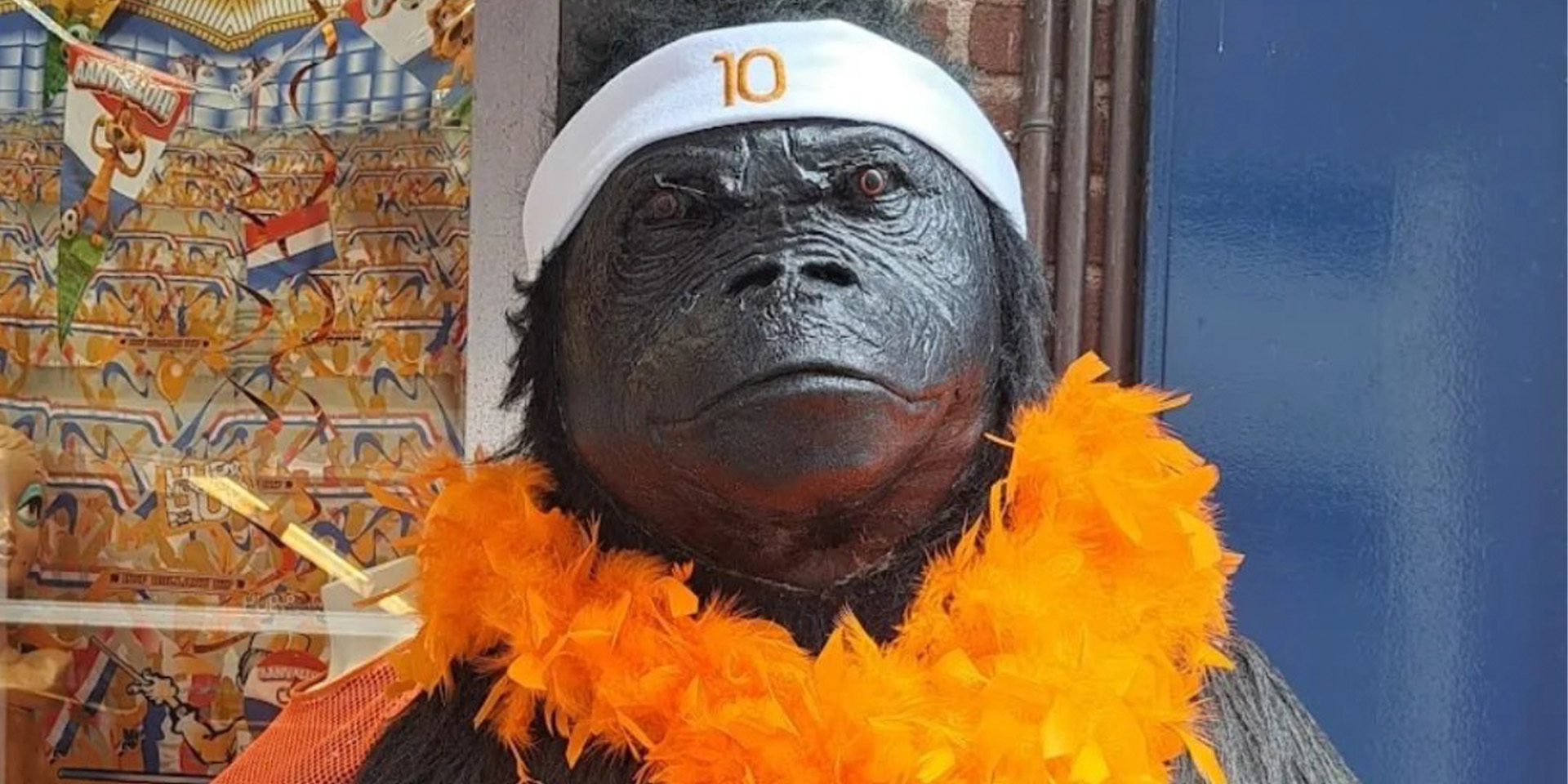 Gorilla verkleed als Memphis Depay: ‘De feestwinkel ziet nu in dat dit racisme is’